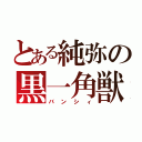 とある純弥の黒一角獣（バンシィ）