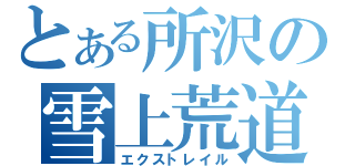 とある所沢の雪上荒道（エクストレイル）