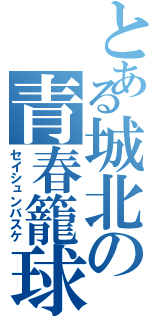 とある城北の青春籠球（セイシュンバスケ）