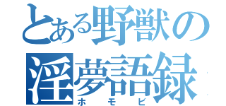 とある野獣の淫夢語録（ホモビ）