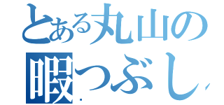 とある丸山の暇つぶし（✨）