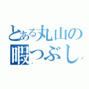 とある丸山の暇つぶし（✨）