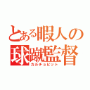 とある暇人の球蹴監督（カルチョビット）