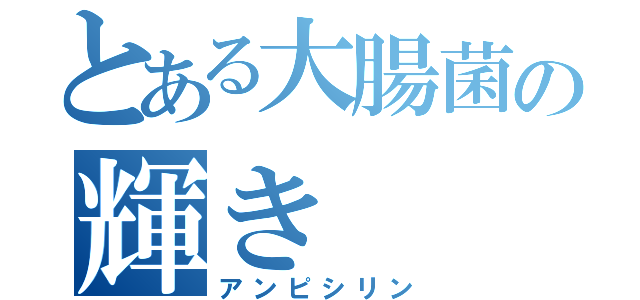 とある大腸菌の輝き（アンピシリン）