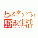 とあるタケゾーの野獣生活（ハローキティ）