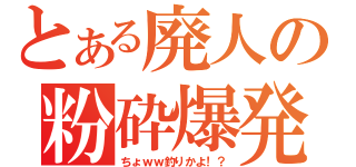 とある廃人の粉砕爆発（ちょｗｗ釣りかよ！？）