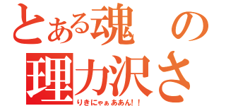 とある魂の理力沢さん（りきにゃぁああん！！）