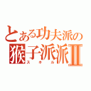 とある功夫派の猴子派派Ⅱ（スキル）