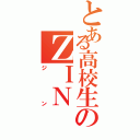 とある高校生のＺＩＮⅡ（ジン）