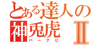 とある達人の神兎虎Ⅱ（バーナビ）