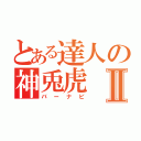 とある達人の神兎虎Ⅱ（バーナビ）