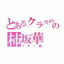 とあるクラスのの柿坂華（１年１組）