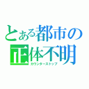 とある都市の正体不明（カウンターストップ）