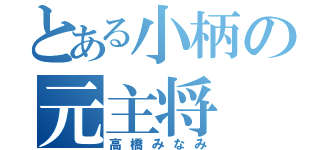 とある小柄の元主将（高橋みなみ）