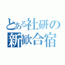 とある社研の新歓合宿（）