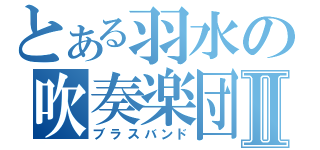 とある羽水の吹奏楽団Ⅱ（ブラスバンド）