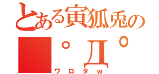 とある寅狐兎の（゜Д゜）（ワロタｗ）