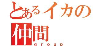 とあるイカの仲間（ｇｒｏｕｐ）