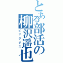 とある部活の柳沢遥也（ビッグボス）