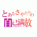 とあるさやたむの自己満放送（いろんなコト☆）