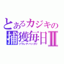 とあるカジキの捕獲毎日Ⅱ（ツラレテバッカリ）