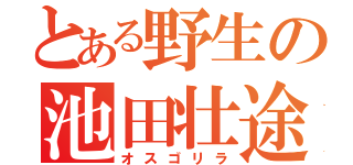 とある野生の池田壮途（オスゴリラ）