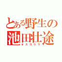 とある野生の池田壮途（オスゴリラ）