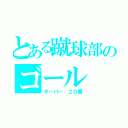 とある蹴球部のゴール（キーパー ２０番）