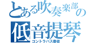 とある吹奏楽部のの低音提琴（コントラバス奏者）