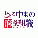 とある中米の麻薬組織（カルテル）