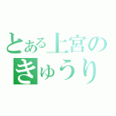 とある上宮のきゅうり（）