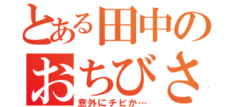 とある田中のおちびさん（意外にチビか…）