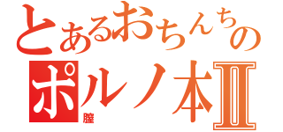 とあるおちんちんのポルノ本Ⅱ（膣）