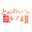 とあるおちんちんのポルノ本Ⅱ（膣）