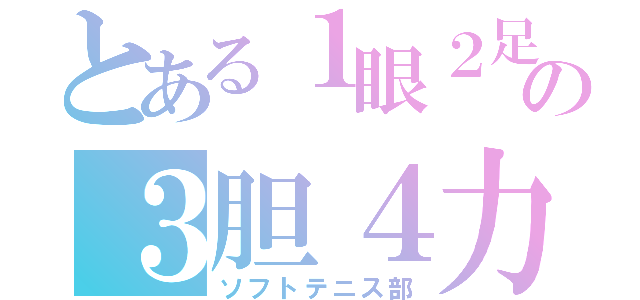 とある１眼２足の３胆４力（ソフトテニス部）