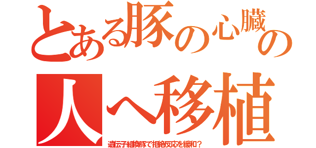 とある豚の心臓の人へ移植（遺伝子組換豚で拒絶反応を緩和？）