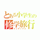 とある小学生の修学旅行！！（インデックス）