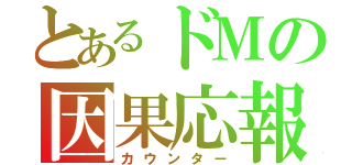 とあるドＭの因果応報（カウンター）