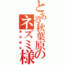 とある秋葉原のネズミ様（渡辺麻友）