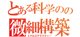 とある科学のの微細構築（ミクロステラクチャー）