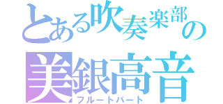 とある吹奏楽部の美銀高音（フルートパート）