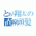 とある翔太の直線頭髪（ストレート）