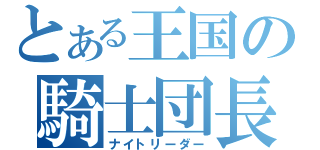 とある王国の騎士団長（ナイトリーダー）