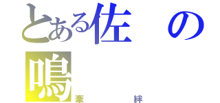 とある佐の鳴（牽絆）