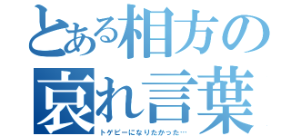 とある相方の哀れ言葉（トゲピーになりたかった…）