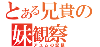 とある兄貴の妹観察（アユムの記録）