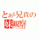 とある兄貴の妹観察（アユムの記録）