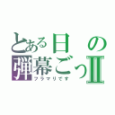 とある日の弾幕ごっこⅡ（フラマリです）