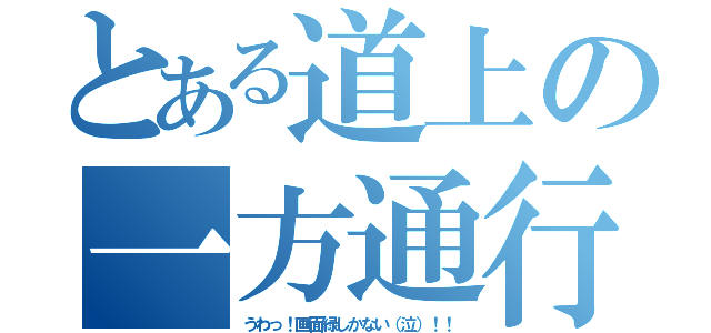 とある道上の一方通行（うわっ！画面緑しかない（泣）！！）