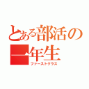 とある部活の一年生（ファーストクラス）